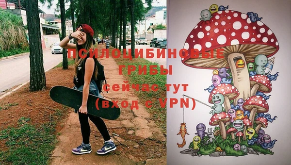 бутират Алексин