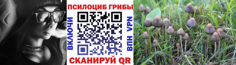Псилоцибиновые грибы Psilocybine cubensis  купить наркотики цена  Советская Гавань 