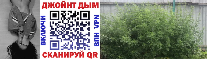 Бошки марихуана семена  где купить наркоту  shop Telegram  Советская Гавань 